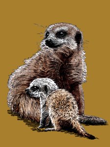 New Baby Meerkats on Golden Yellow by Mike Davis