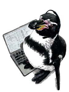 New Job Penguin on White