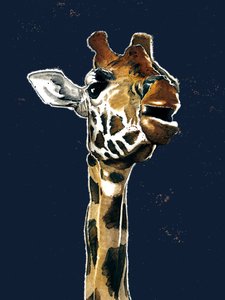 The Giraffe