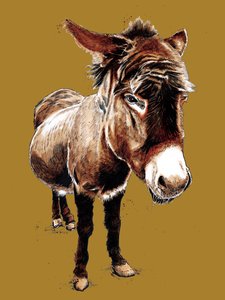 The Little Donkey on Golden Yellow, 2020