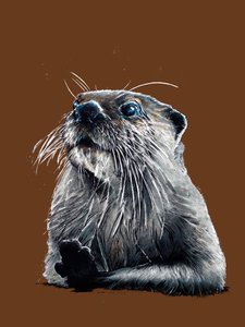 The Otter on Burnt Orange