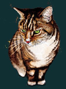 The Tabby Cat on Deep Cyan, 2020