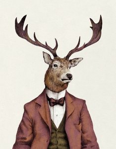 A Deer with Human Attire—Wearing