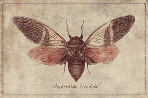 Curious Cicada Charm