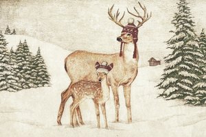 Deer Wearing Cozy Hats