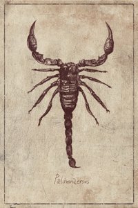Palamnaersus Specie