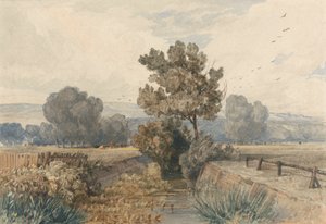 Scene at Elmham, Norfolk