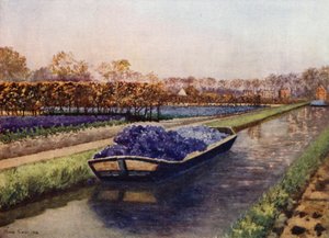 A Boatload of Fragrance by Mima Nixon