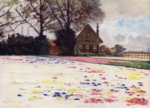 Hyacinths Scattered on the Sand