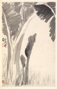 Banana Plants, 1788