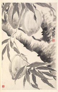 Peaches, 1788