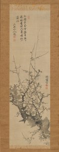 Plum Blossoms