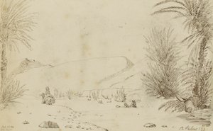 Palms by Miner Kilbourne Kellogg