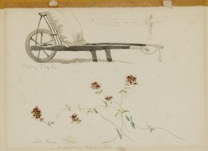 St. Valery-Blow-Wild Thyme by Miner Kilbourne Kellogg