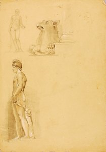 Studies of Sculante by Miner Kilbourne Kellogg