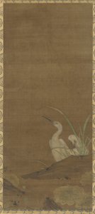 Herons and Water Plants