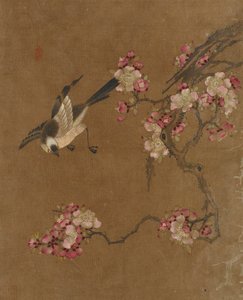 Ten pictures of birds and flowers