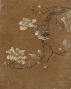 Ten pictures of birds and flowers