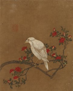 Ten pictures of birds and flowers