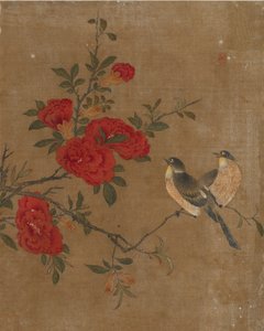 Ten pictures of birds and flowers