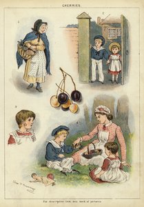 Cherries by Miss Eliza F. Manning