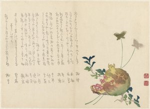 Pomegranate