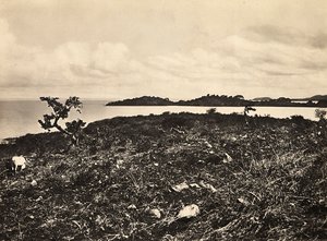Building an Empire in the Fascist age: Lake Tana, Ethiopia, 09/05/1936 by Modestino Baldinetti