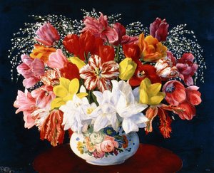 Big Bouquet of Tulips