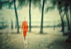 Orange Dream Walk by Molly Fu APA