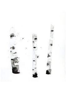 Ghost Birch by Monica Perez Vega