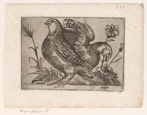 Two Quails by Monogrammist AG