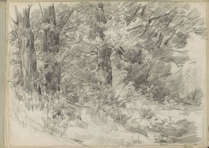 Forest View by Monogrammist DS (tekenaar)