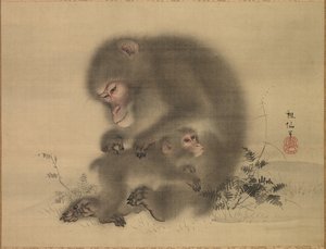 Monkeys