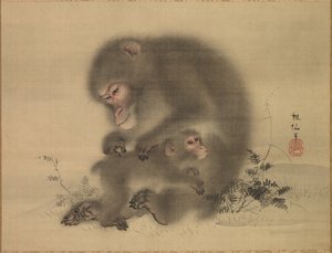 Monkeys