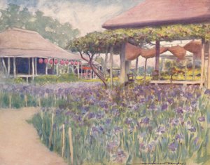 An Iris Garden by Mortimer L Menpes