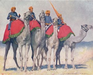Camelry from Alwar by Mortimer L Menpes