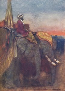 Jaipur Elephants