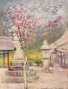Peach-Blossom, c1887, 1901