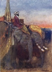 Jaipur Elephants
