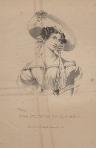 The Flower of Cambria, litho by C.G. Childs