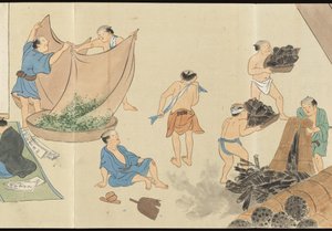Illustrations of Uji Tea Production