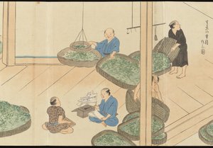 Illustrations of Uji Tea Production