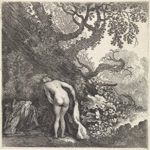 Bathing Woman Seen from Behind