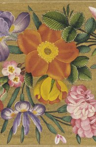 Page from the St. Petersburg Album, India, 1727