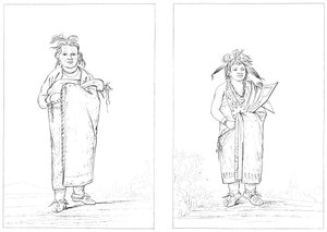 Winnebagoes by Myers and Co