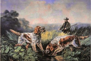 American Field Sports: Retrieving