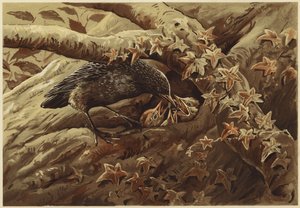 A Noisy Nursery by N. Parker