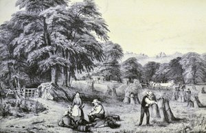 Harvest by N. and Ives, J.M. Currier