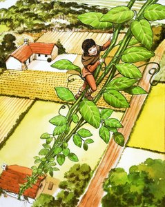 Jack and the Beanstalk
