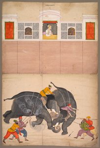 Two Elephants Fighting in a Courtyard Before Muhammad Shah by Nainsukh